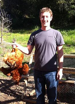 Mark Zuckerberg tenant un poulet fermier par les pattes