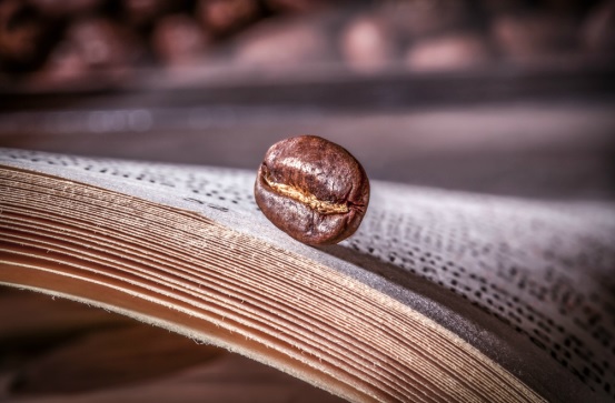 Photographie culinaire