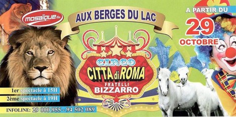 Citta di Roma