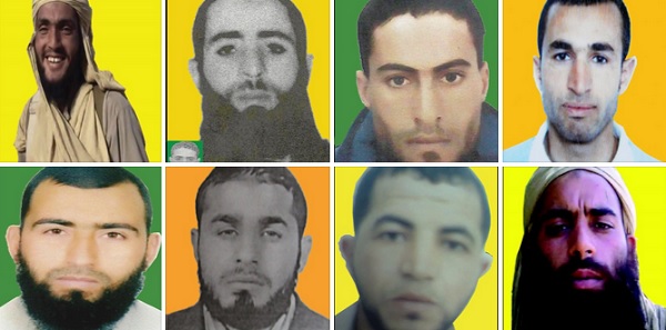 43 terroristes