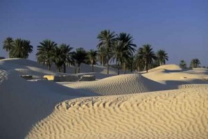 desert