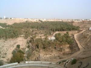 Oasis de Kebili