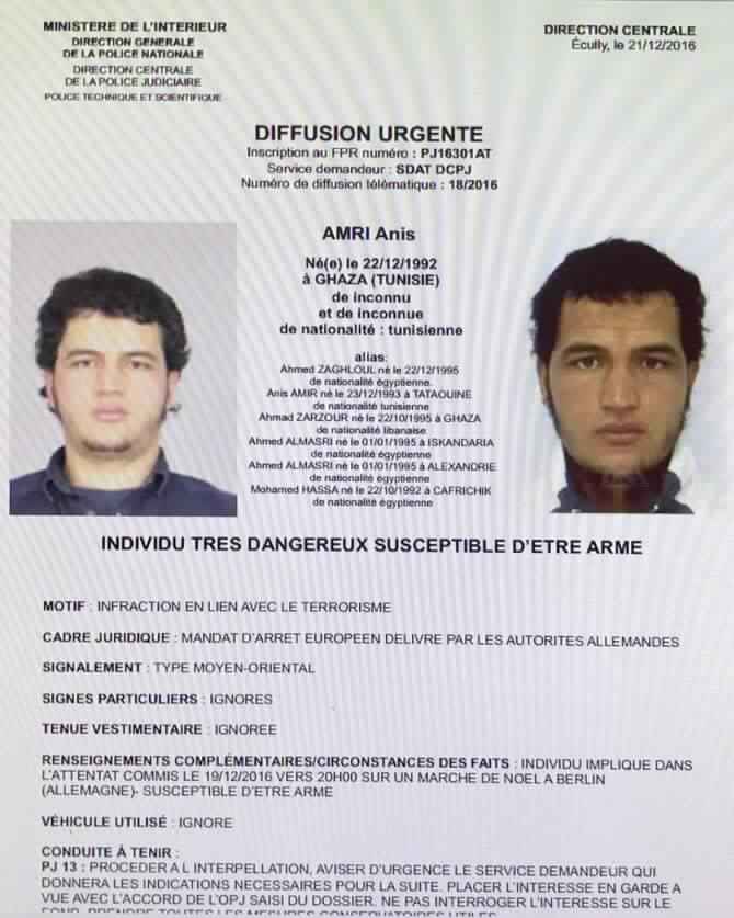 anis-amri