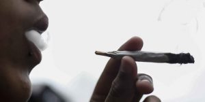 cannabis-zatla