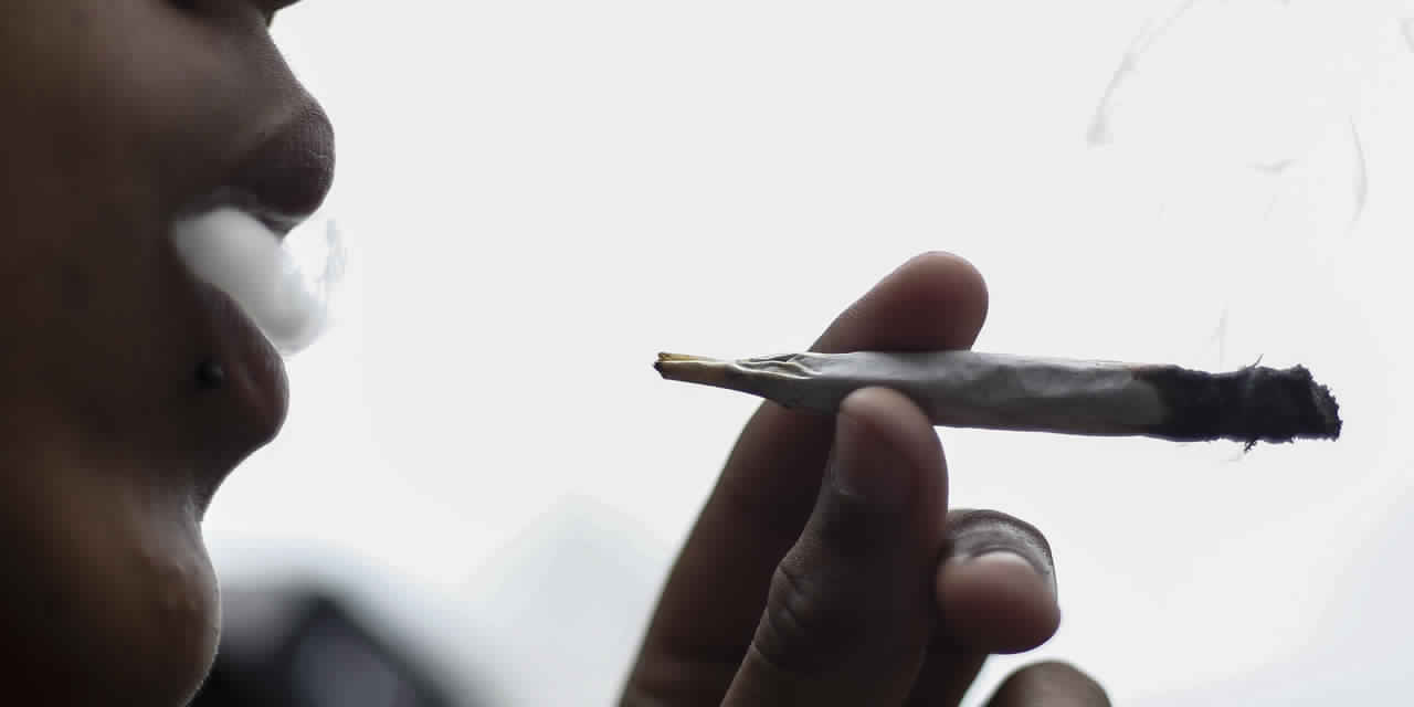 cannabis-zatla