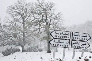 neige