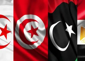 مصر: اجتماع لدول جوار ليبيا بمشاركة تونسية