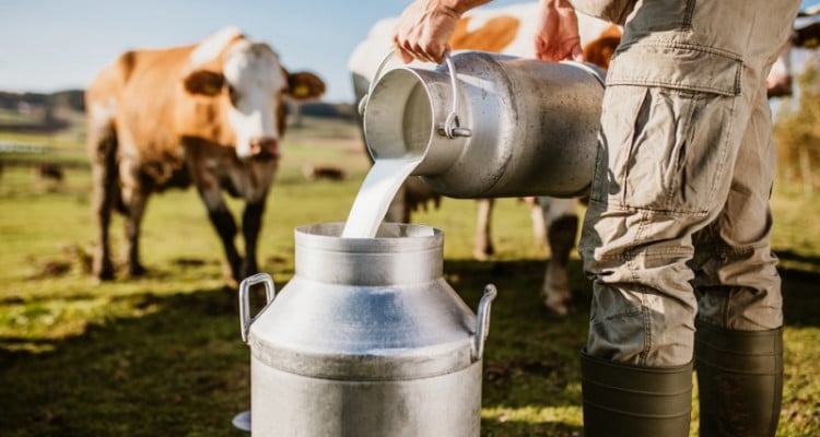 خطوة هامة نحو الإنفراج في "أزمة الحليب"!