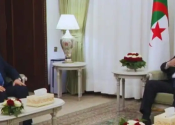 تونس: وزير الداخلية يلتقي تبّون