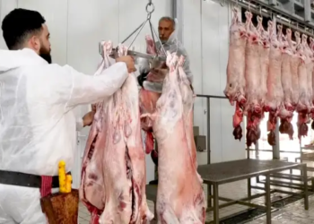 تونس: لا وجود لأي مسلخ يستجيب للمواصفات الصحيّة والبيئيّة