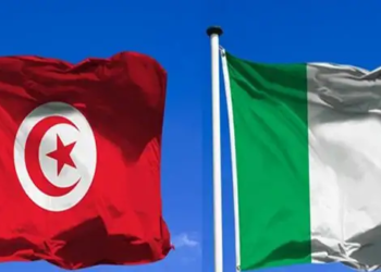اجتماع وزير النقل بنائب وزير النقل الايطالي عبر الفيديو
