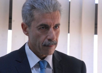 وزير الاقتصاد والتخطيط: ''استيراد السيارات استنزاف للاقتصاد التونسي''