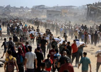 Palestinians gather as they carry aid supplies that entered Gaza through Israel, amid a hunger crisis, in Beit Lahia in the northern Gaza Strip July 20, 2025. REUTERS/Dawoud Abu Alkas      TPX IMAGES OF THE DAY