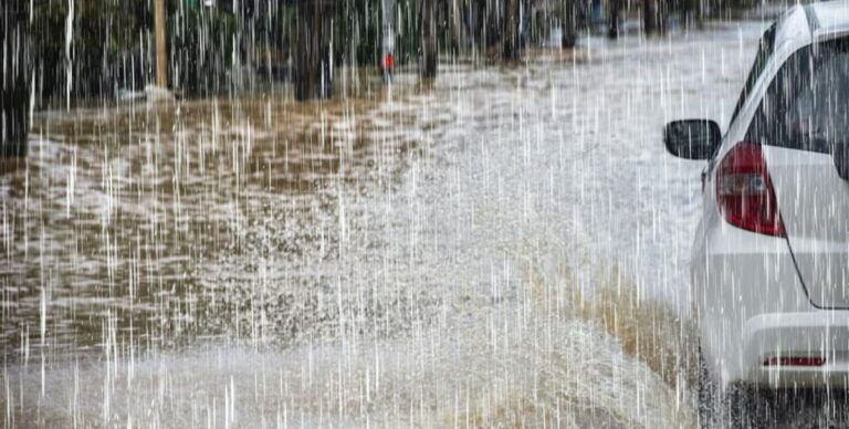 xr:d:DAFmiYWRe04:6323,j:2237581136279214736,t:24020808