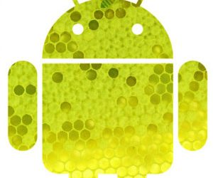 La tablette Motorola dévoile son « gâteau de miel » concocté par Android