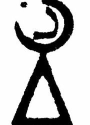 Nouveau comité directeur pour l’Association Tunisienne des Femmes Démocrates