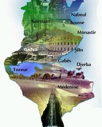 Tunisie : cessions de capitaux et zones d’ombres