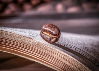 Festival international de la photographie culinaire - Le Tunisien Samir Tlatli à l’affiche