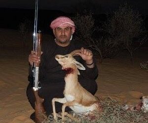 "Arrestations en série de braconniers qataris et koweïtiens dans le désert tunisien"