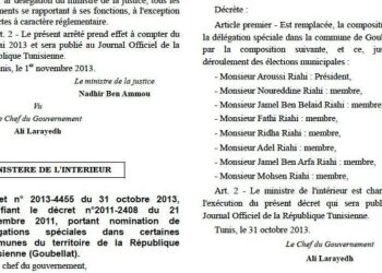 Que des Riahi dans la délégation spéciale de Goubellat !