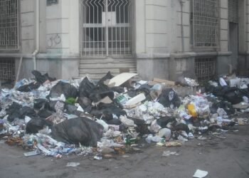 Après les sangliers d'Ennasr, les rats du centre-ville