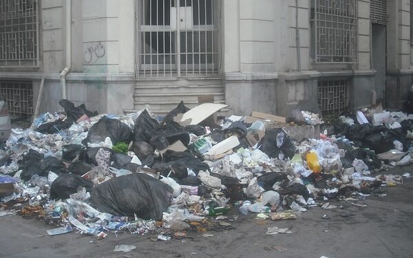 Après les sangliers d'Ennasr, les rats du centre-ville