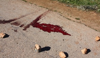 Jendouba : le frère d’un des terroristes arrêté