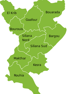 Reprise des affrontements entre forces de l’ordre et membres d’Ansar Achariaa à Rouhia