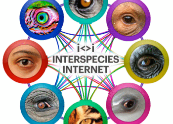 Le  net «animalia» sera-t-il pour demain ?