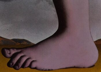 Motions de censure «censurées», un communiqué adopté, bienvenue au Monty Python's Flying Circus!