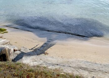 75,8 millions de mètres cubes d’eaux non traitées sont déversés dans la nature, relève la Cour des comptes