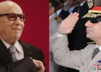 Naissance d&rsquo;une nouvelle amiti&eacute; : Al-Sissi remercie Al-Sibsi