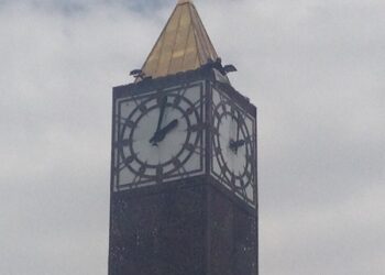 Un agent de sûreté limogé, squatte depuis 3 jours le haut de l’horloge de l’avenue Bourguiba