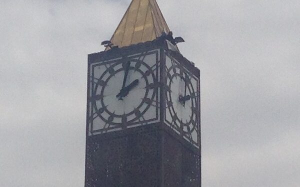 Un agent de sûreté limogé, squatte depuis 3 jours le haut de l’horloge de l’avenue Bourguiba