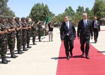 Lutte contre le terrorisme : Visite &eacute;clair de Mehdi Joma&acirc; en Alg&eacute;rie