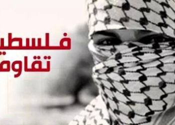 Gaza : Quelques r&eacute;actions de d&eacute;put&eacute;s tunisiens dans l'agora Facebook