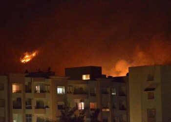 Tunisie : 42 incendies et 124 ha ravagés depuis le mois de juin