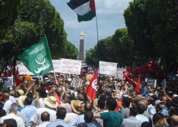 Manifestation de solidarit&eacute; avec Gaza, &agrave; l&rsquo;A. Bourguiba - Cause commune mais partis divis&eacute;s