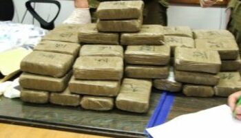 52 kilos de cannabis (zatla) ont &eacute;t&eacute; saisis &agrave; Kasserine