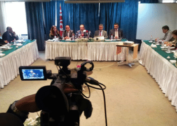 Atelier de réflexion sur le processus électoral en Tunisie