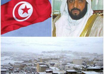 Les Emirats Arabes Unis offrent de l'aide aux victimes de la vague de froid en Tunisie