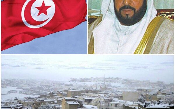 Les Emirats Arabes Unis offrent de l'aide aux victimes de la vague de froid en Tunisie