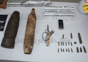 Une cellule terroriste prête à passer à l'action démantelée à Hammam Ghezez