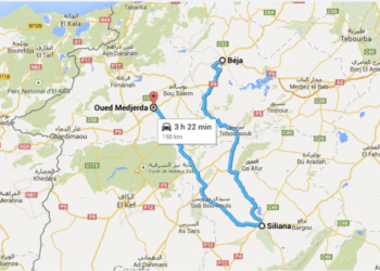 Pluies diluviennes &agrave; Jendouba, B&eacute;ja et Siliana: Oued Mejerda a d&eacute;bord&eacute;
