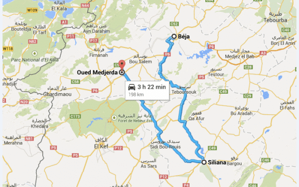 Pluies diluviennes &agrave; Jendouba, B&eacute;ja et Siliana: Oued Mejerda a d&eacute;bord&eacute;