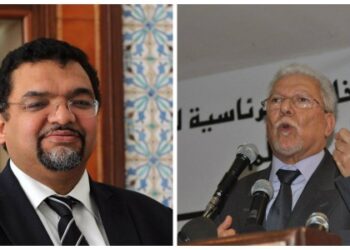 D'après Lotfi Zitoun, Nidaa Tounes et Ennahdha n'ont pas atteint "la maturité politique"