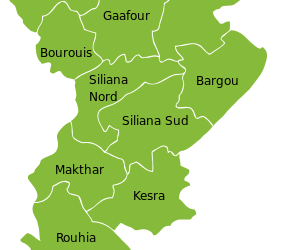 Siliana : Quatre lyc&eacute;ennes bless&eacute;es par des tirs de chevrotine devant leur lyc&eacute;e