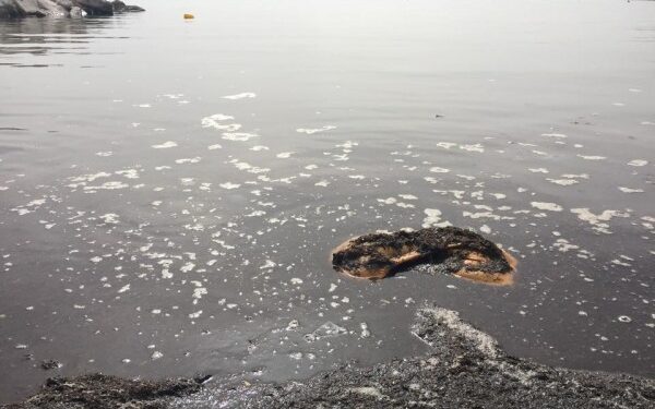La plage d'Ezzahra, un joyau en perdition à cause de la pollution | Photos