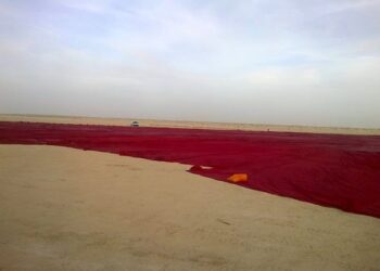 Le drapeau tunisien s'apprête à devenir le plus grand au monde