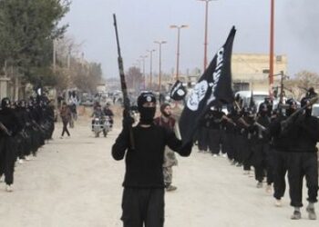 La Tunisie parmi les six pays qui fournissent le plus de jihadistes &agrave; l'EI, selon un rapport de l'ONU